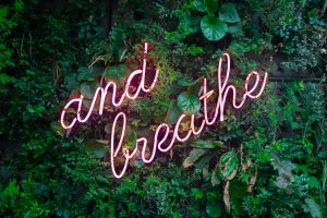 nature and neon lights